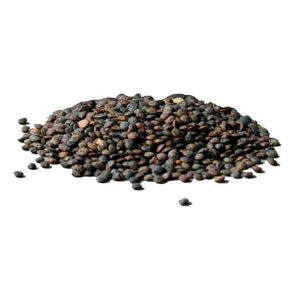 Green Dupuy Lentil Beans