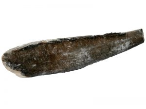 Chilean Seabass Headless