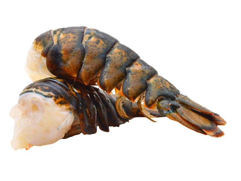 Lobster Tail Frozen - Säntis Delicatessen