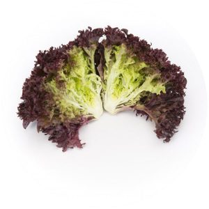 Lollo Rosso Lettuce (Australian)