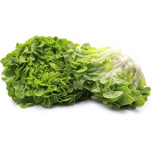 Oakleaf Lettuce (Australian)