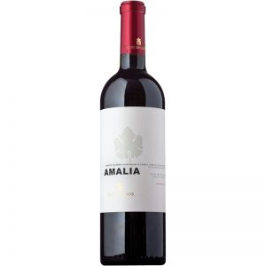 Los Boldos Amalia