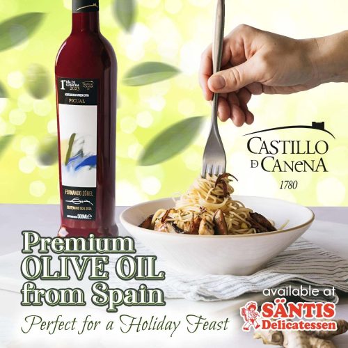 castillo de canena copy