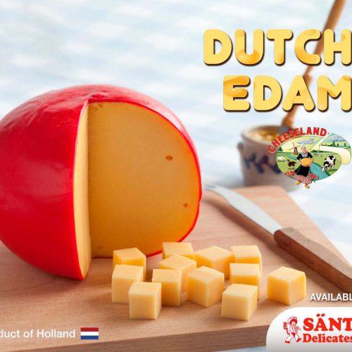 dutch edam copy